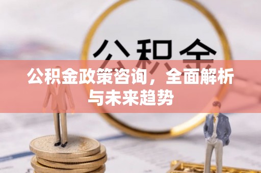 朴子公积金政策咨询，全面解析与未来趋势