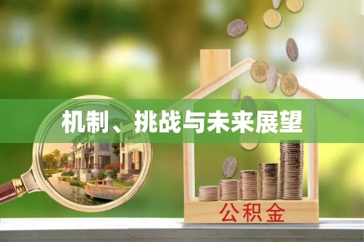 朴子机制、挑战与未来展望